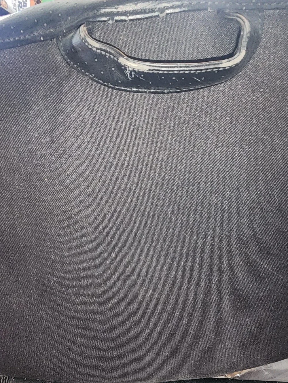 Bose carrying travel bag
